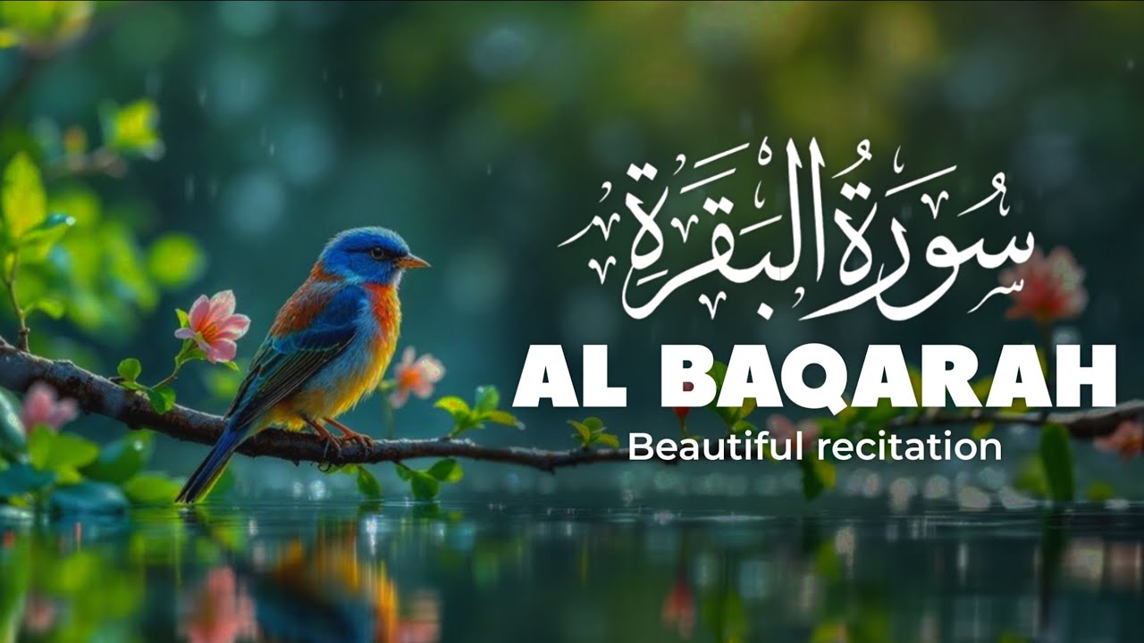 Surah Al-Baqarah Full | Beautiful Quran Recitation | Peaceful Tilawat | Holy Quran