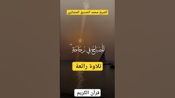 تلاوة رائعة_الشيخ محمد المنشاوي#قرآن #quran #coran #مصر #الجزائر #السعودية #أحباب_الرحمن#العراق#قطر