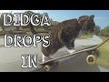 CAT "drops In" at Skateboard Parks! Go Didga Go!