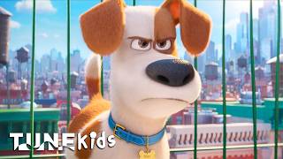 What Pets ACTUALLY Do When You’re at Work | The Secret Life of Pets | Tune Kids