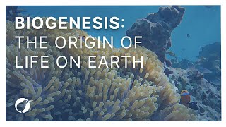Biogenesis The Origin Of Life On Earth