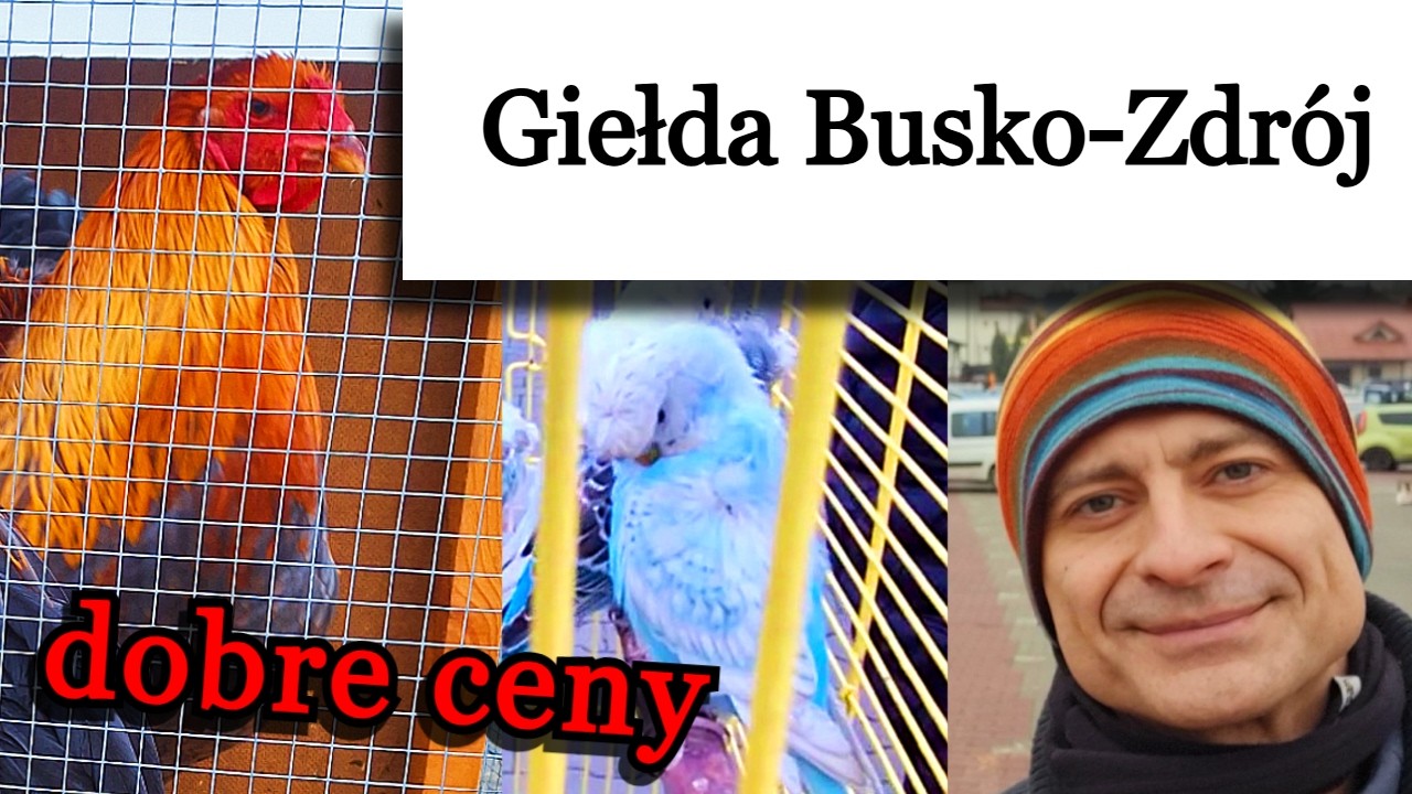 Ostatnia Targowica Busko-Zdrój w tym roku