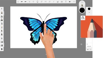 Android art  Butterfly  | Finger Painting Autodesk Sketchbook