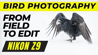 Nikon Z9 - Bird Photography in the field to the editing process with Lightroom.