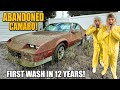 First Wash in 12 Years: BARN FIND Camaro ft. Robby Layton! | Car Detailing Restoration