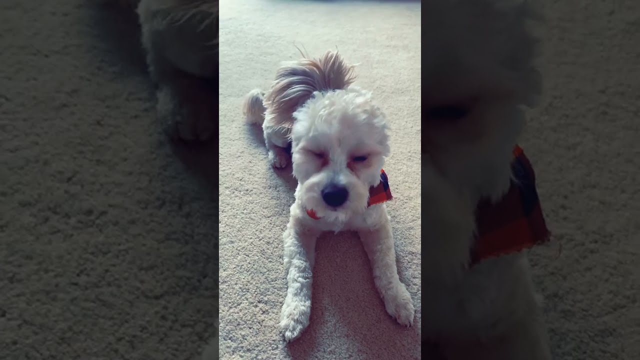 Hes Pretty Amazing