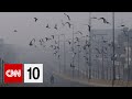 Current Events and Environmental Issues