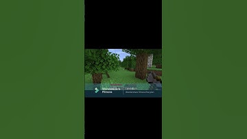 #Morph mod - Minecraft ep 21 #shorts #morphmod #minecraft