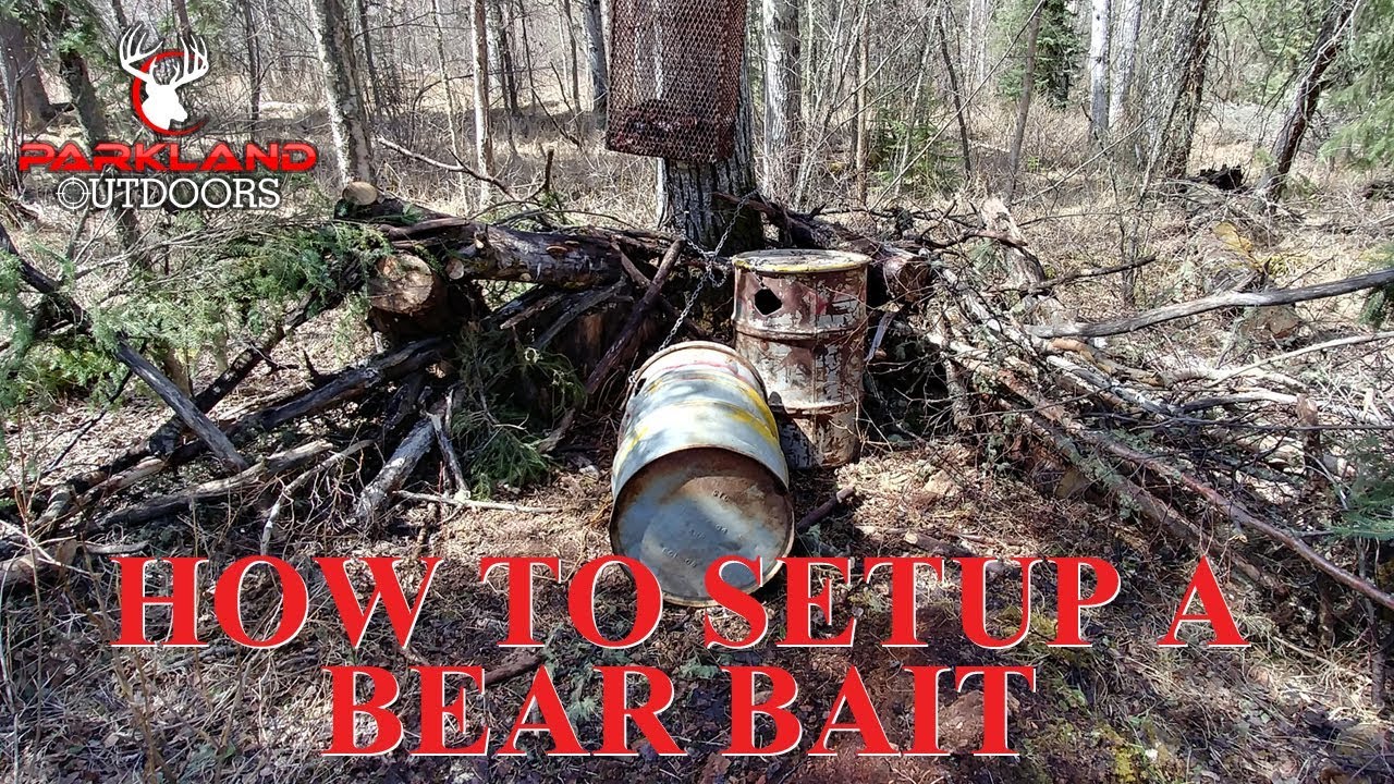 How to Setup a Bear Bait in Alberta