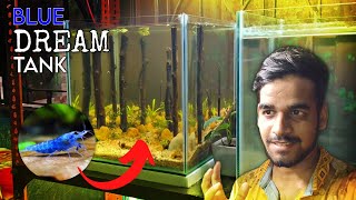 Aquascape Tutorial: BLUE DREAM SHRIMP Nano Cube (How To: Planted Aquarium Step By Step Setup)