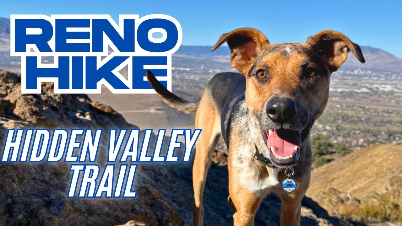 Hiking Hidden Valley Trail in Reno Nevada with our two dogs!