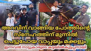 അറുക്കാൻവാങ്ങിയ പോത്തിന്റെ സ്നേഹത്തിനുമുന്നിൽ കീഴടങ്ങിയ വാപ്പയും, മക്കളും