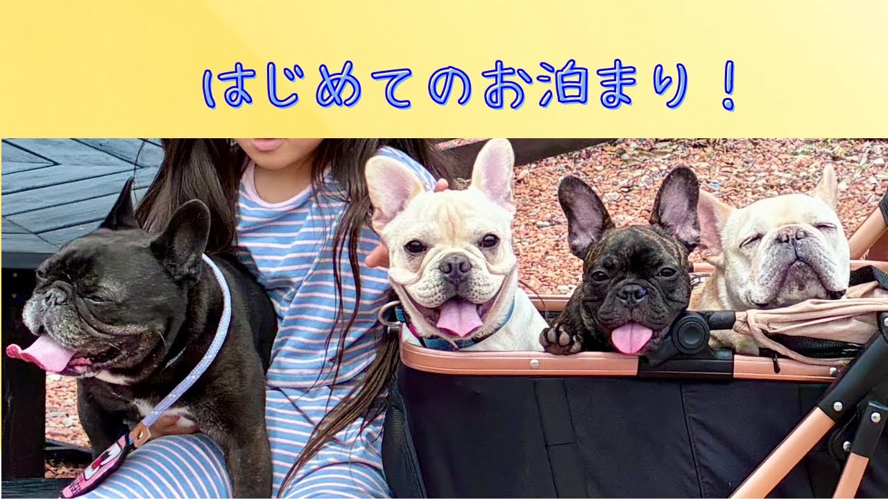 初めてのお泊まり