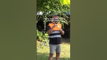 If you want to reduce the size of a tree, you can get it horribly wrong...