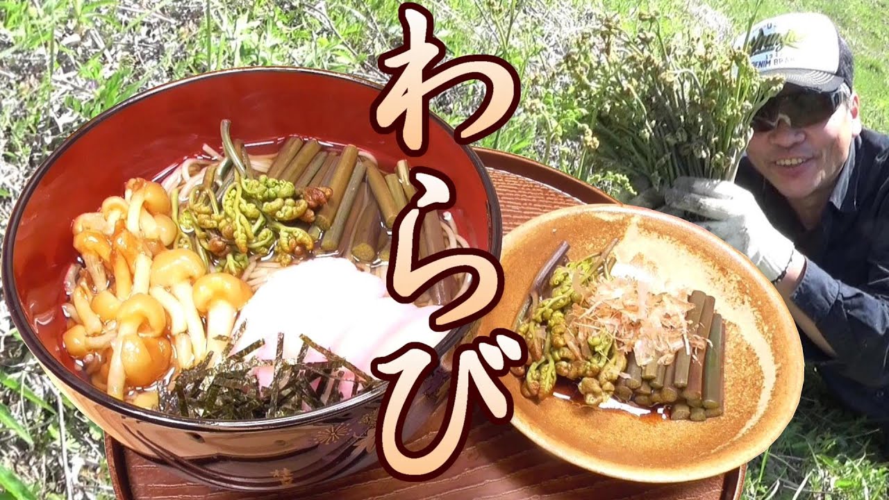 イタドリ採って食べる イタドリのメンマ風 うまいぞ イタドリの採り方 イタドリの食べ方 イタドリ料理の作り方 山菜 野草 山菜採り 男の料理 レシピ Youtube イタドリ採って食べる イタドリのメンマ風 うまいぞ イタドリの採り方 イタドリの食べ方 イタドリ料理の作り方 山菜 野草 山菜採り 男の料理 レシピ Youtube