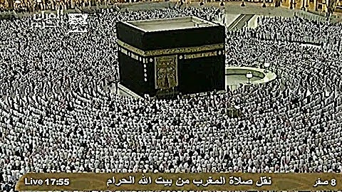 ترتيل متميز من أواخر سورة التحريم || لفضيلة الشيخ د.ماهرالمعيقلي