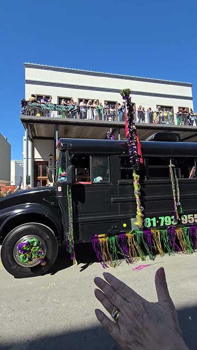 mardi gras galveston sunday