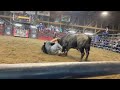 Money the hard way at rodeo!