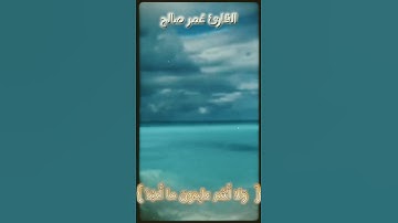 سورة الكافرون بصوت القارئ عُمر صالح ♥👌🏻🔥شاااهد جمال الصوت 🌷سبحان ♥ #رامي_عيسى #احمد_بيست #يانغو_بلاي