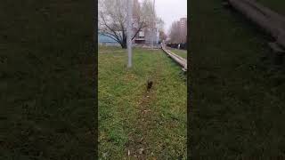 6 Ноября 2025 Г.