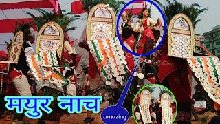 मयुर नाच || typical mayur naach 2021 ||