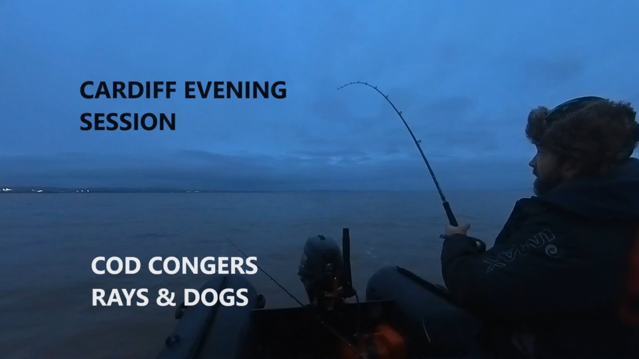 AN EVENING AT CARDIFF RAYS CONGERS DOG AND WE DID SEE A COD END OF THE