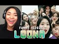 Reaction to LOONA 'loona using their last braincells on fact in star' - LOL!!!