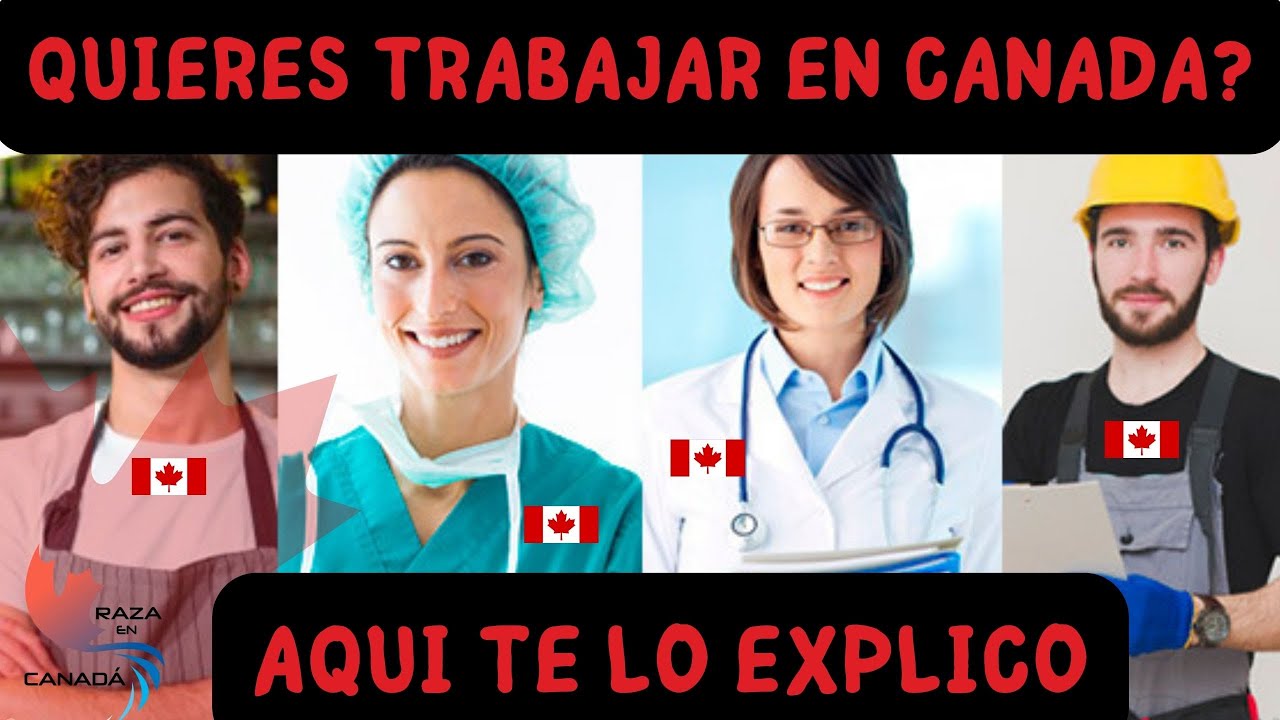 Como trabajar en canada 2024 canada canada2024 YouTube