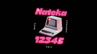 Download Lagu Nateka vs 12345 (Neel Chhabra Mashup)  | Bollytech | Techno MP3