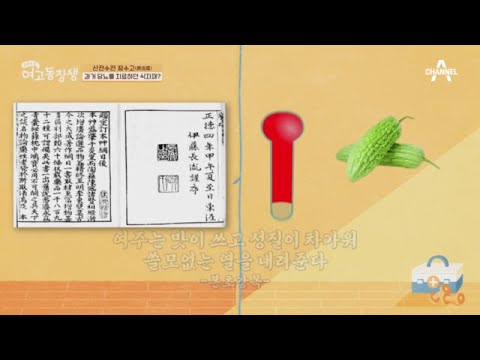 세종대왕, 훈민정음 창제 4년 후 당뇨로 승하? 과거에는 여주로 당뇨를 치료하다! | 산전수전 여고동창생 34 회