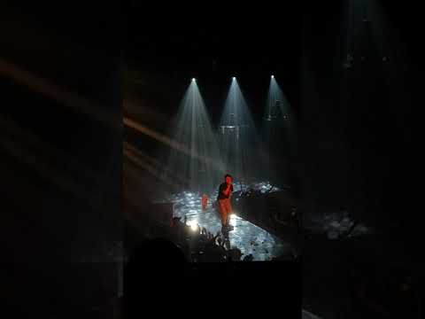 빈지노 달리 반 피카소 live