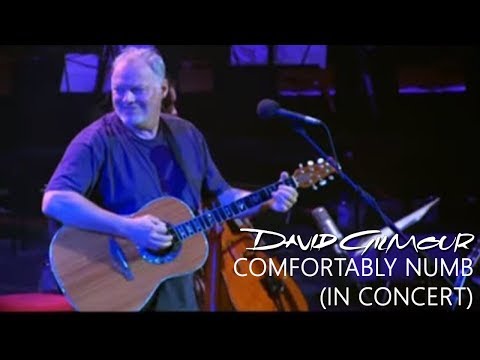 David Gilmour - Comfortably Numb (In Concert)