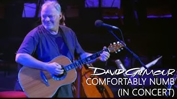 David Gilmour - Comfortably Numb (In Concert)