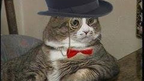 The problem with cs:go demo viewer