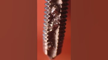 More 3D Printed Macro Lens Shots