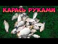 Ловим карася руками в озерах