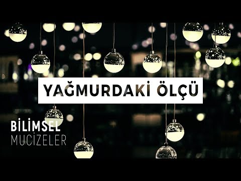 Video: Asansör kovaları: açıklama ve uygulama