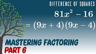Mastering Factoring | Part 6