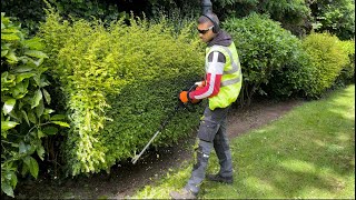 Daily job Hedge Cutting And Clean up !Before & After