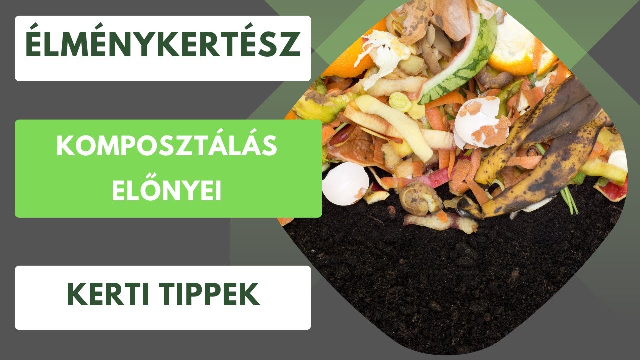 Miért komposztáljunk?♻️