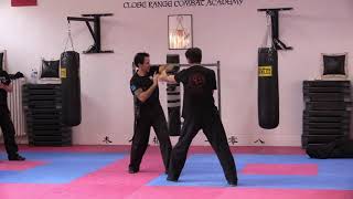 Wing Chun CRCA Combat Techniques 21