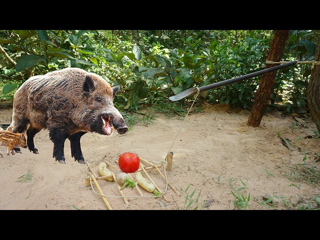 Creative Unique Wild Pig Trap Using Spade And Wood - Best Wild Pig Trap Using Spade class=