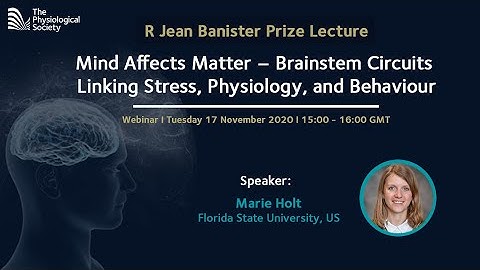 Mind Affects Matter – Brainstem Circuits Linking Stress, Physiology, and Behaviour