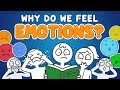 Why do we feel emotions?