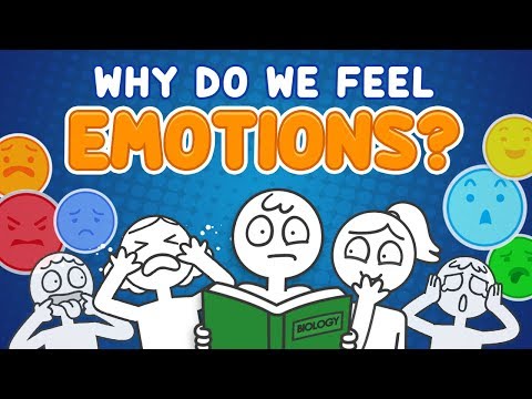 Video: Why Do We Feel What We Feel. Forbidden And Allowed Feelings