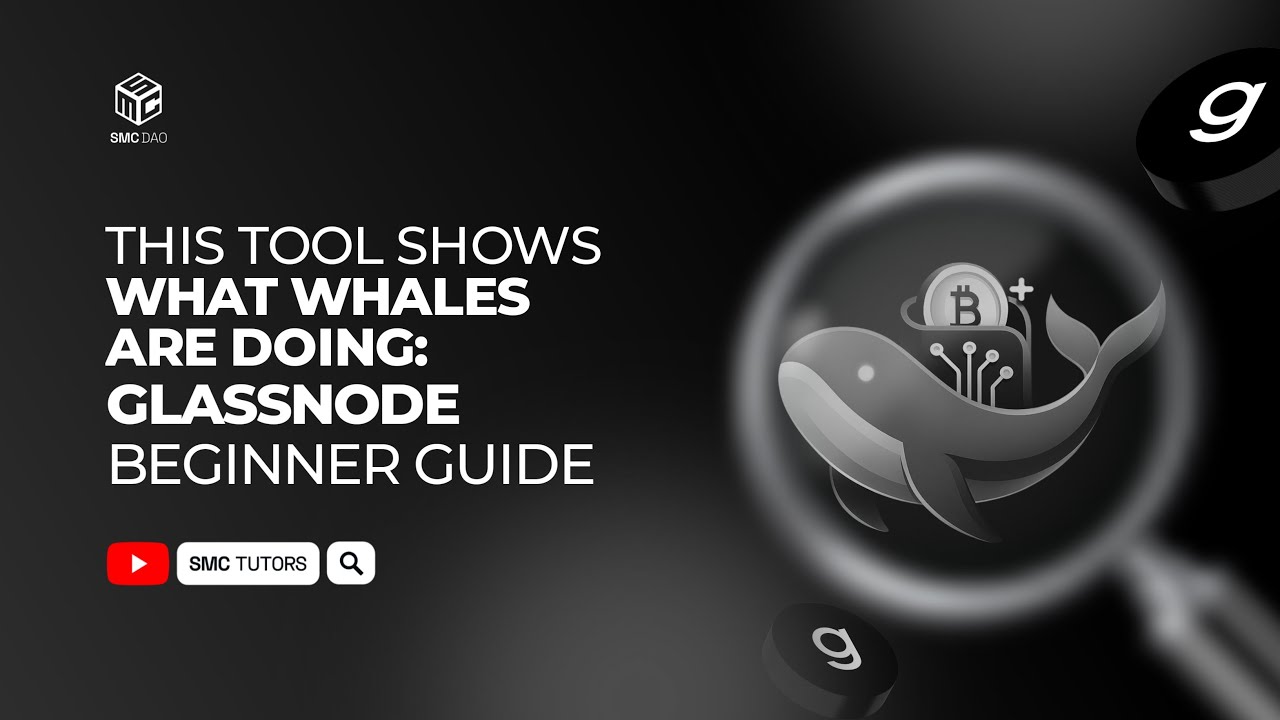 Этот инструмент показывает, что делают крупные инвесторы — руководство для начинающих по Glassnode