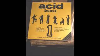 Silicon Chip - Fm Frequency Modulated Acid