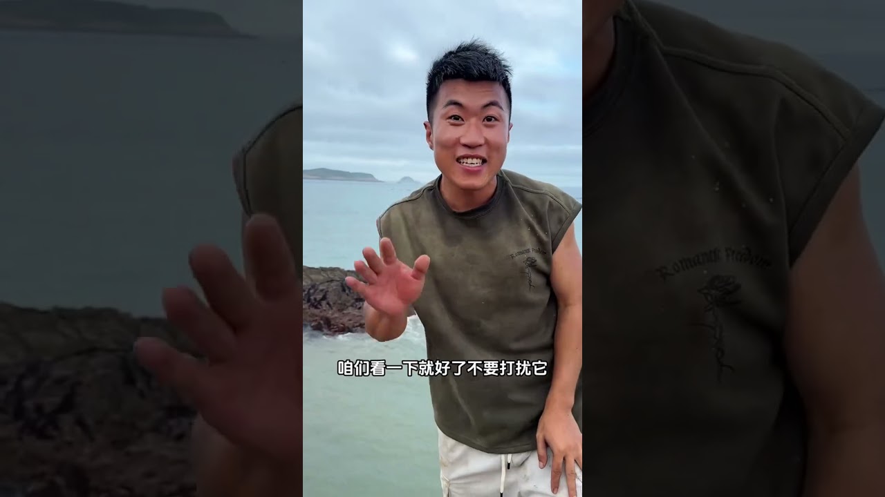 The Giant Cat Shark I Raised for 3 Months Was Used to Make a Nest – A Heartfelt Journey