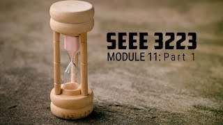 SEEE 3223 - Module 11 (Part A) Wealth