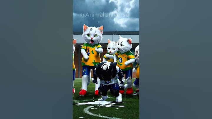 Ash the cat gets bullied because of the color of his fur🙀🐾